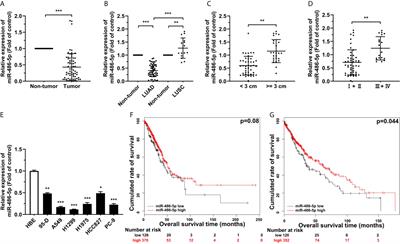 MicroRNA-486-5p Suppresses Lung Cancer via Downregulating mTOR Signaling In Vitro and In Vivo